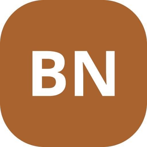 Bayline Network Care logo
